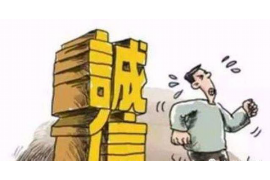 紫阳专业讨债公司有哪些核心服务？