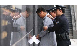 紫阳专业催债公司的市场需求和前景分析